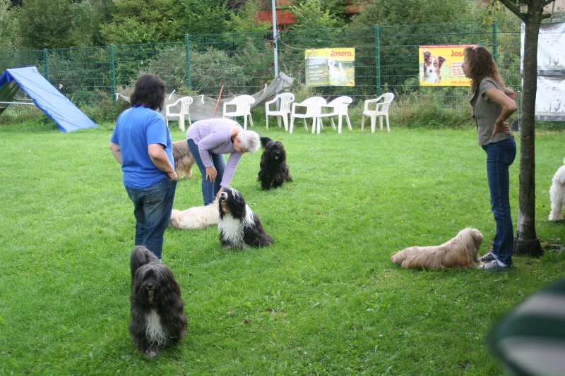 ../Images/Bild 022.jpg
